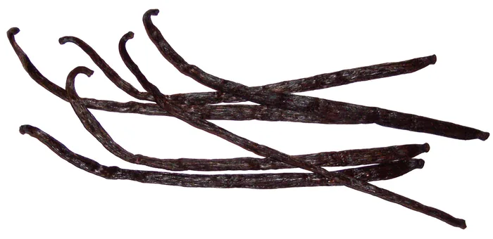 Vanilla Beans vanilla pods — wholesale export stock